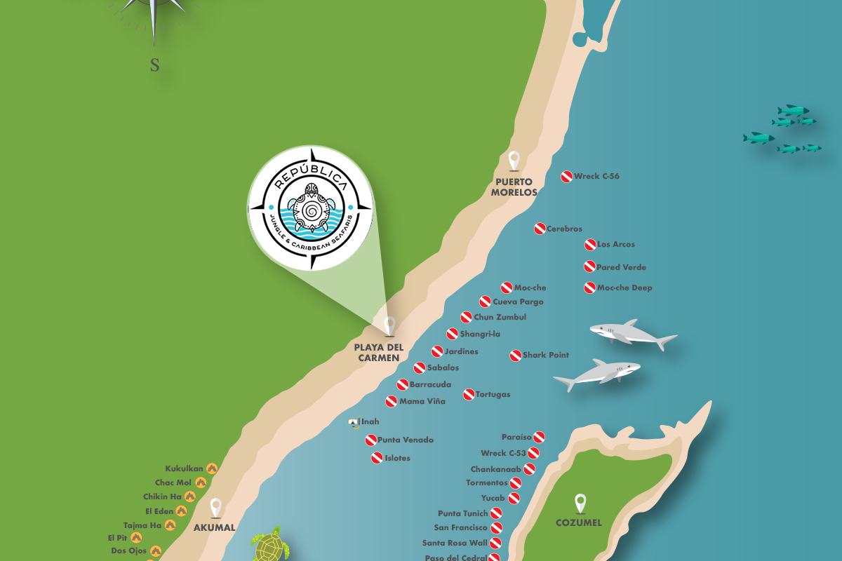 REPUBLICA best dive sites