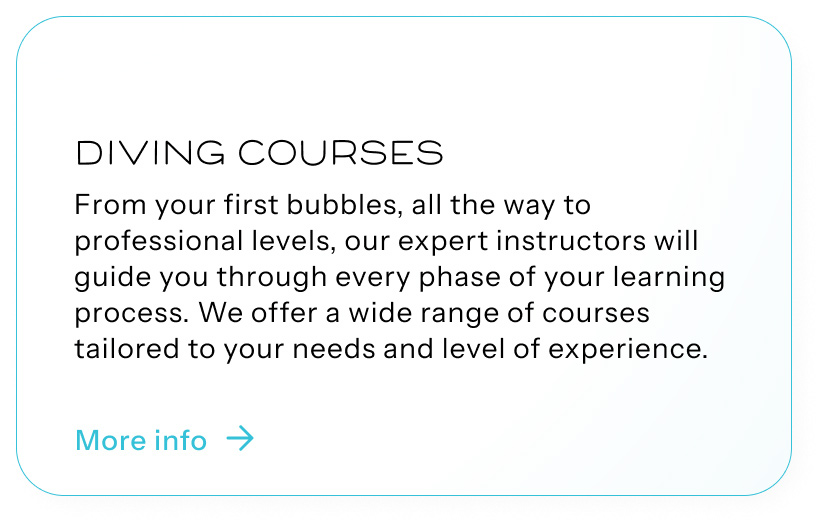 Diving Courses