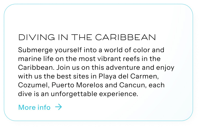 Diving in the Caribbean