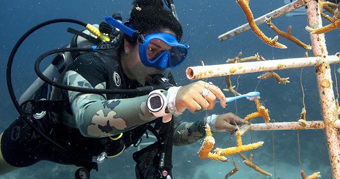 Fun Dives en MUSA Cancún