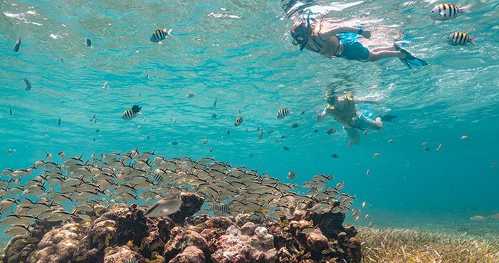 Experiencias de Snorkel a tu Medida