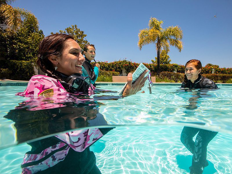 cursos-de-buceo