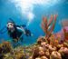 Discover Scuba Diving