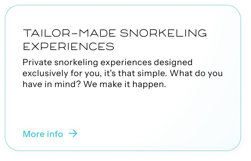 Tailor-Made Snorkeling Experiences